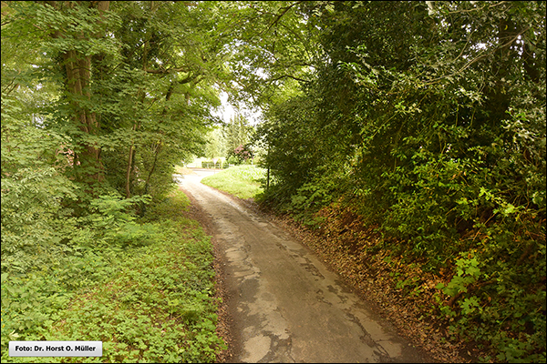 1108 - 402 - Rümbültstege - klein