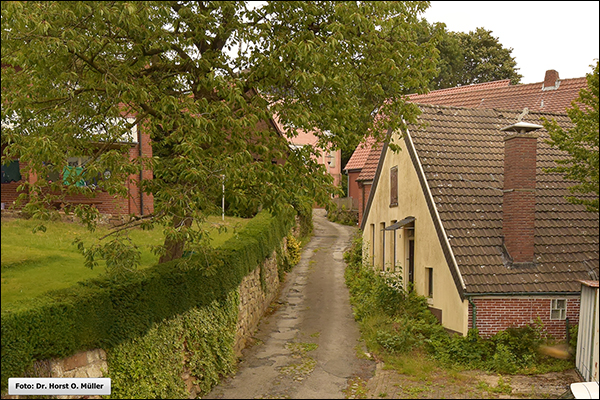 Mauerstiege, oberer Stiegenabschnitt, 2020
