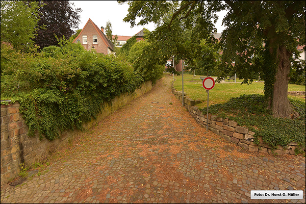 Blick durch die Kipkerstiege nach Norden, 2020