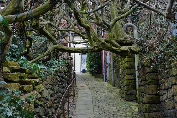 Blick durch die östliche Hellendoornstiege, nach Norden