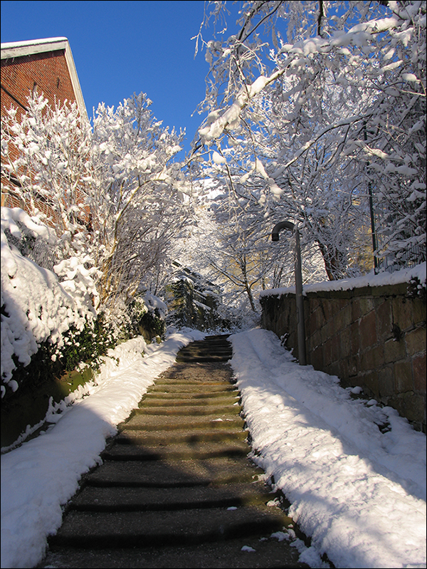 Synagogenstiege, Winteransicht, klein