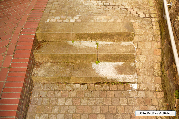 Foto - Betontreppenstufen in der Gartenpüttenstiege