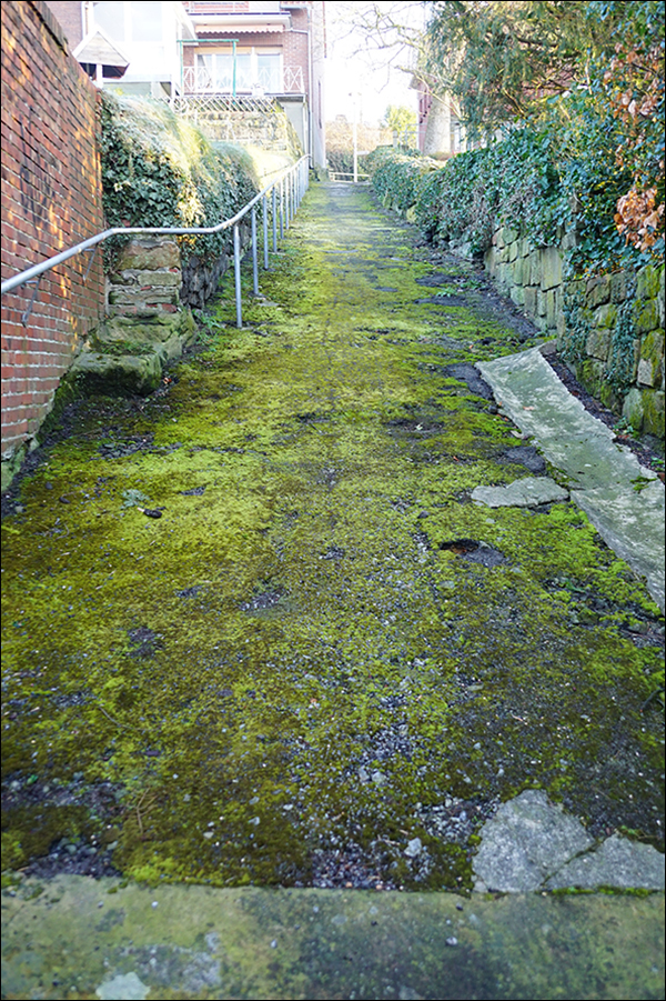 Mitte der Foppestiege, Blick nach Norden