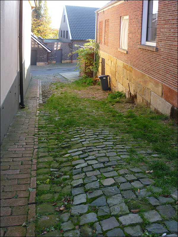 Blick durch die Bustiege nach Sden