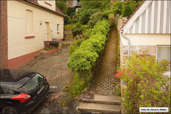 Stemberg-/Windmann-Stiege nach Norden