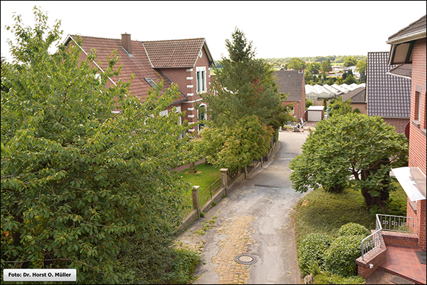 Blick durch die Lippoldstiege nach Süden