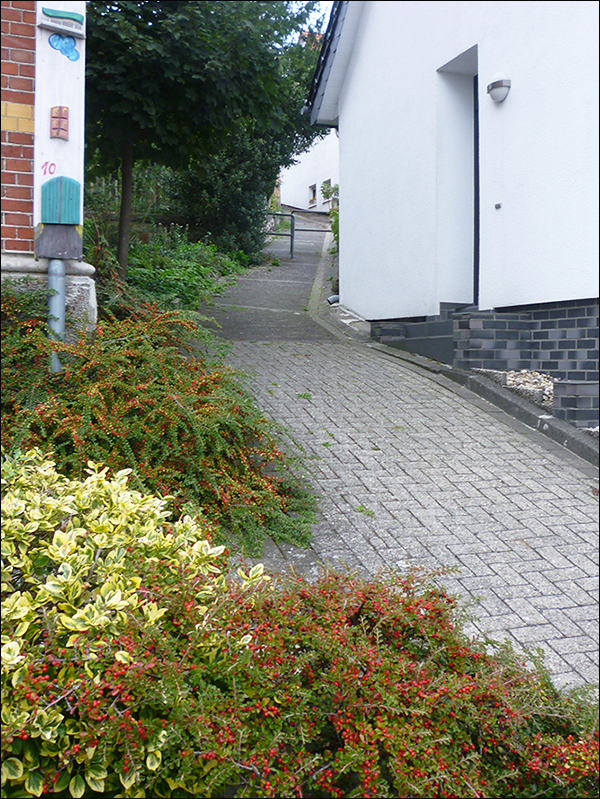 Kuhrstiege, Blick nach Sden