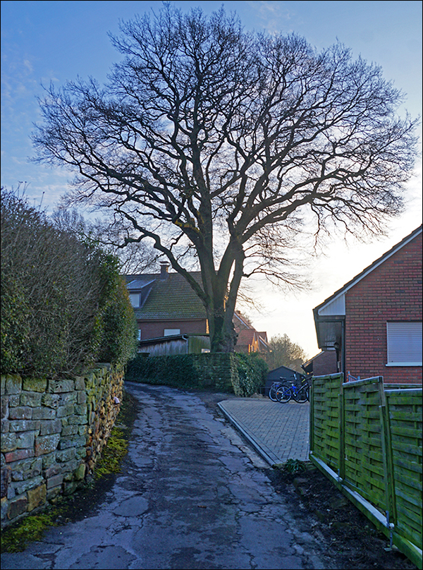 Stieneckerstiege, hgelwrts