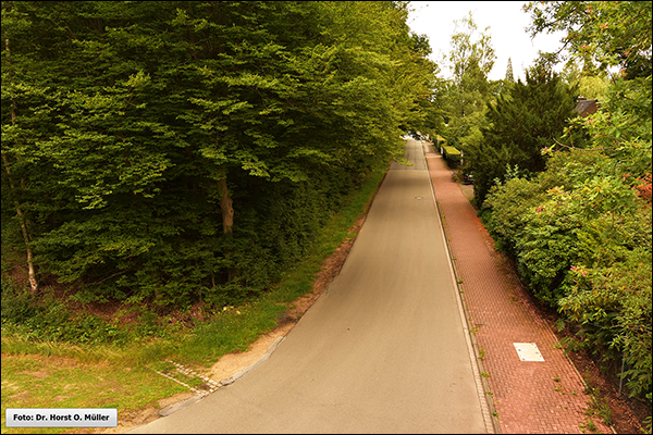 Hilgenstiege, Blick nach Süden