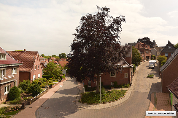 Obere Hofstiege und Gildehauser Strae