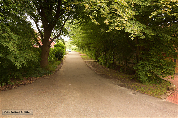 Ltterstiege, mittlerer Bereich