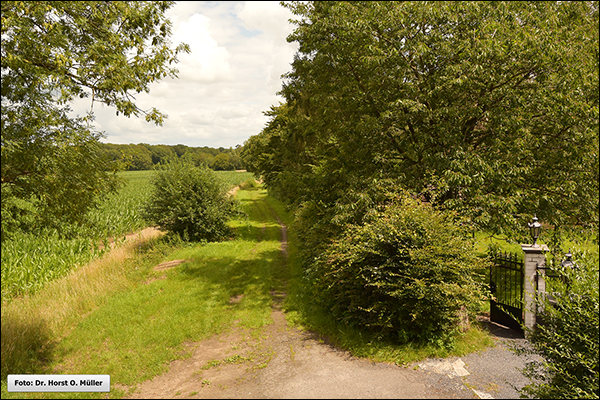 Blick auf die Kohstege